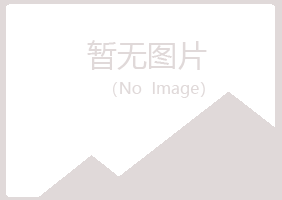 桃山区涟漪水泥有限公司